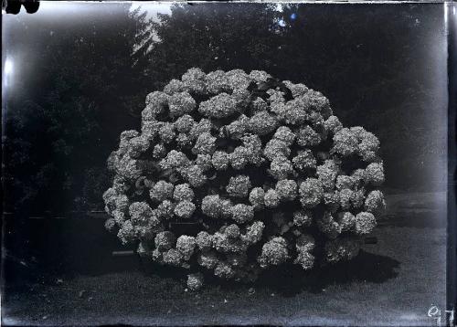 Gift of the Rosalie Thorne McKenna Foundation, 2011.344.97  © 2012 The Connecticut Historical S…