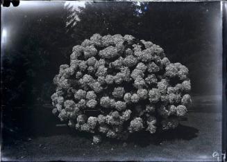 Gift of the Rosalie Thorne McKenna Foundation, 2011.344.97  © 2012 The Connecticut Historical S…