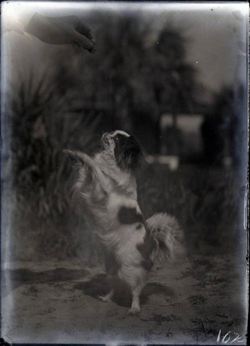Gift of the Rosalie Thorne McKenna Foundation, 2011.344.102  © 2012 The Connecticut Historical …