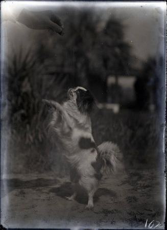 Gift of the Rosalie Thorne McKenna Foundation, 2011.344.102  © 2012 The Connecticut Historical …