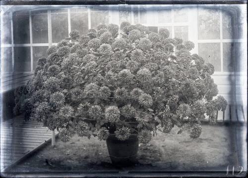 Gift of the Rosalie Thorne McKenna Foundation, 2011.344.112  © 2012 The Connecticut Historical …