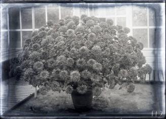 Gift of the Rosalie Thorne McKenna Foundation, 2011.344.112  © 2012 The Connecticut Historical …