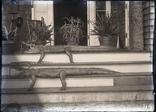Gift of the Rosalie Thorne McKenna Foundation, 2011.344.114  © 2012 The Connecticut Historical …