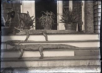 Gift of the Rosalie Thorne McKenna Foundation, 2011.344.114  © 2012 The Connecticut Historical …