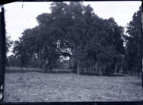Gift of the Rosalie Thorne McKenna Foundation, 2011.344.158  © 2012 The Connecticut Historical …