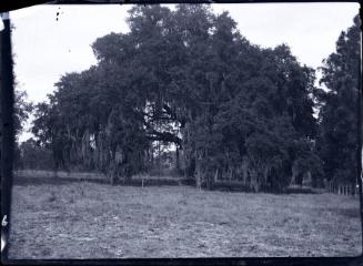Gift of the Rosalie Thorne McKenna Foundation, 2011.344.158  © 2012 The Connecticut Historical …