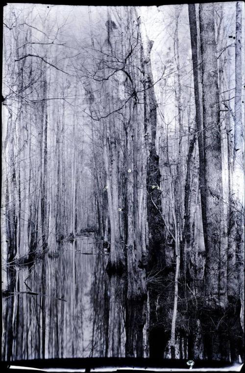 Gift of the Rosalie Thorne McKenna Foundation, 2011.344.161  © 2012 The Connecticut Historical …