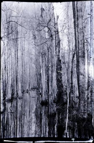 Gift of the Rosalie Thorne McKenna Foundation, 2011.344.161  © 2012 The Connecticut Historical …