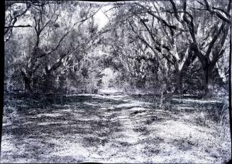 Gift of the Rosalie Thorne McKenna Foundation, 2011.344.162  © 2012 The Connecticut Historical …