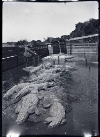 Gift of the Rosalie Thorne McKenna Foundation 2011.344.169  © 2012 The Connecticut Historical S…