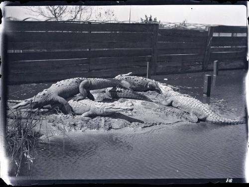 Gift of the Rosalie Thorne McKenna Foundation, 2011.344.170  © 2012 The Connecticut Historical …