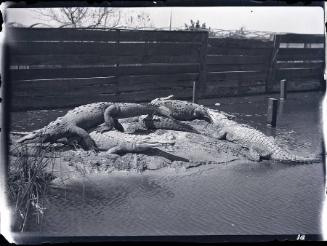 Gift of the Rosalie Thorne McKenna Foundation, 2011.344.170  © 2012 The Connecticut Historical …