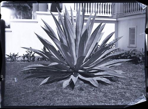 Gift of the Rosalie Thorne McKenna Foundation, 2011.344.172  © 2012 The Connecticut Historical …
