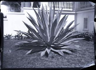 Gift of the Rosalie Thorne McKenna Foundation, 2011.344.172  © 2012 The Connecticut Historical …
