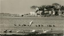 Gift of the Rosalie Thorne McKenna Foundation  2011.344.1067 © Center for Creative Photography,…