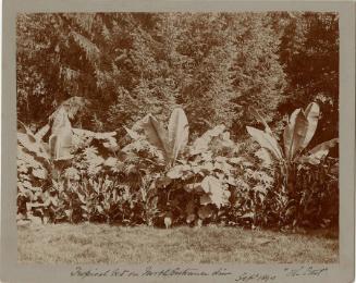 Gift of the Rosalie Thorne McKenna Foundation, 2011.344.991  © 2012 The Connecticut Historical …