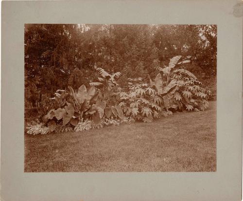 Gift of the Rosalie Thorne McKenna Foundation, 2011.344.994  © 2012 The Connecticut Historical …