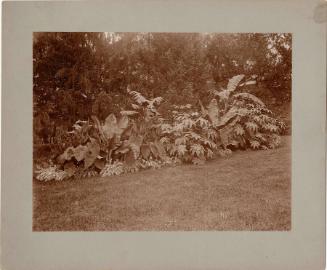 Gift of the Rosalie Thorne McKenna Foundation, 2011.344.994  © 2012 The Connecticut Historical …
