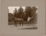 Gift of the Rosalie Thorne McKenna Foundation, 2011.344.1165  © 2012 The Connecticut Historical…