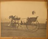 Gift of the Rosalie Thorne McKenna Foundation, 2011.344.1140.11   © 2011 The Connecticut Histor…