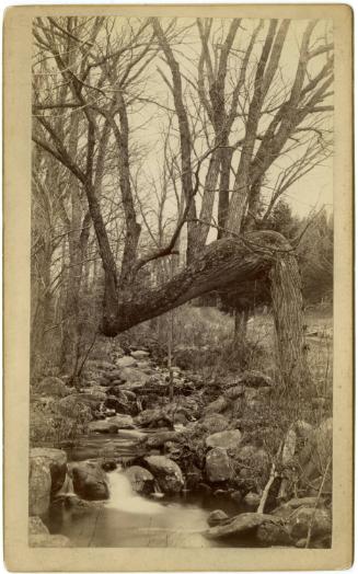 Gift of the Hon. Joyce Krutick Craig (ret.), in memory of her husband John S. Craig, 2013.563.5…