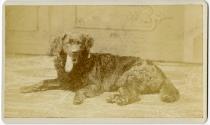 Gift of the Hon. Joyce Krutick Craig (ret.), in memory of her husband John S. Craig, 2012.563.2…