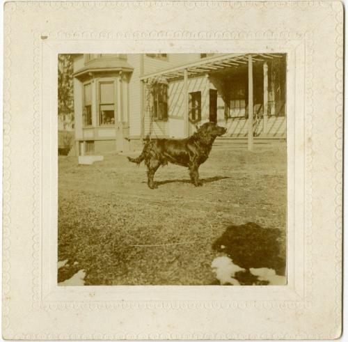 The Newman S. Hungerford Museum Fund, 2005.137.27  © 2013 The Connecticut Historical Society.