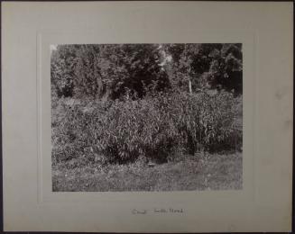 Gift of the Rosalie Thorne McKenna Foundation, 2011.344.974  © 2013 The Connecticut Historical …