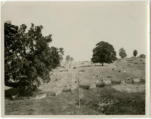 Gift of the Rosalie Thorne McKenna Foundation, 2011.344.1013  © 2013 The Connecticut Historical…