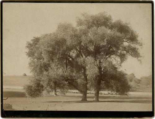 Gift of the Rosalie Thorne McKenna Foundation, 2011.344.1023  © 2013 The Connecticut Historical…