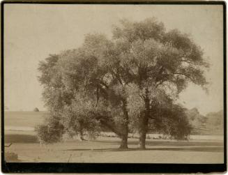 Gift of the Rosalie Thorne McKenna Foundation, 2011.344.1023  © 2013 The Connecticut Historical…