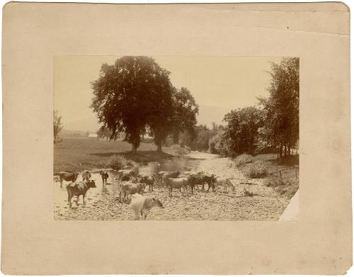 Gift of the Rosalie Thorne McKenna Foundation, 2011.344.1027  © 2013 The Connecticut Historical…