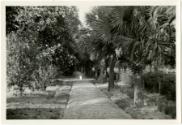 Gift of the Rosalie Thorne McKenna Foundation, 2011.344.1204  © 2013 The Connecticut Historical…