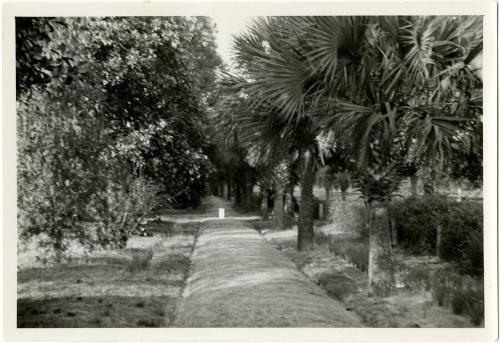 Gift of the Rosalie Thorne McKenna Foundation, 2011.344.1204  © 2013 The Connecticut Historical…