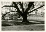 Gift of the Rosalie Thorne McKenna Foundation, 2011.344.1206  © 2013 The Connecticut Historical…