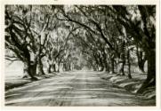 Gift of the Rosalie Thorne McKenna Foundation, 2011.344.1207  © 2013 The Connecticut Historical…