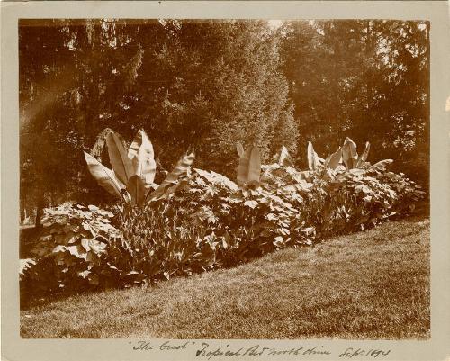 Gift of the Rosalie Thorne McKenna Foundation, 2011.344.963  © 2013 The Connecticut Historical …