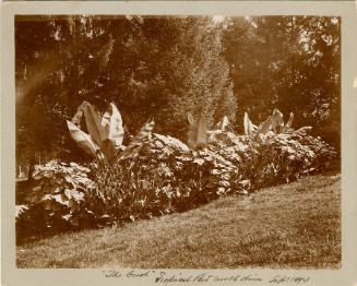 Gift of the Rosalie Thorne McKenna Foundation, 2011.344.963  © 2013 The Connecticut Historical …