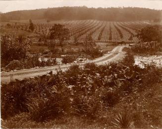 Gift of the Rosalie Thorne McKenna Foundation, 2011.344.965  © 2013 The Connecticut Historical …