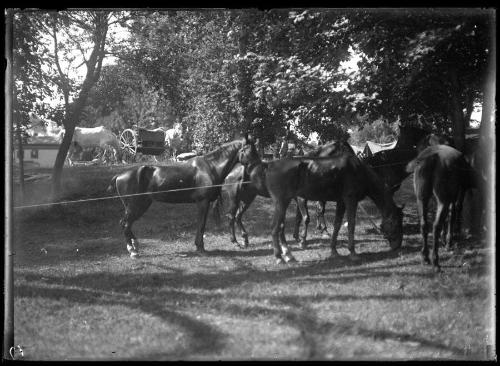 Museum purchase, 1995.36.164  © 2013 The Connecticut Historical Society.