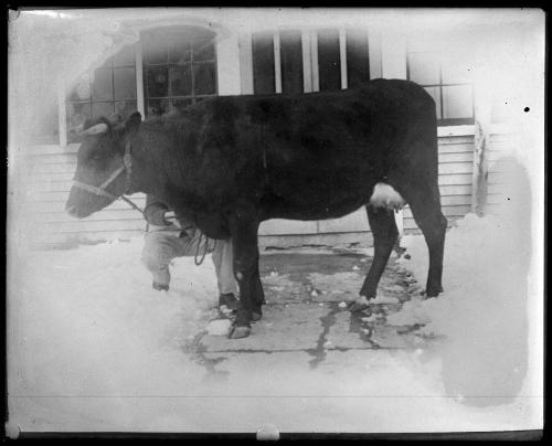 Museum purchase, 1995.36.4  © 2013 The Connecticut Historical Society.