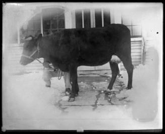 Museum purchase, 1995.36.4  © 2013 The Connecticut Historical Society.