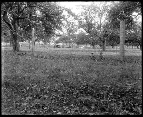 Museum purchase, 1995.36.86  © 2013 The Connecticut Historical Society.