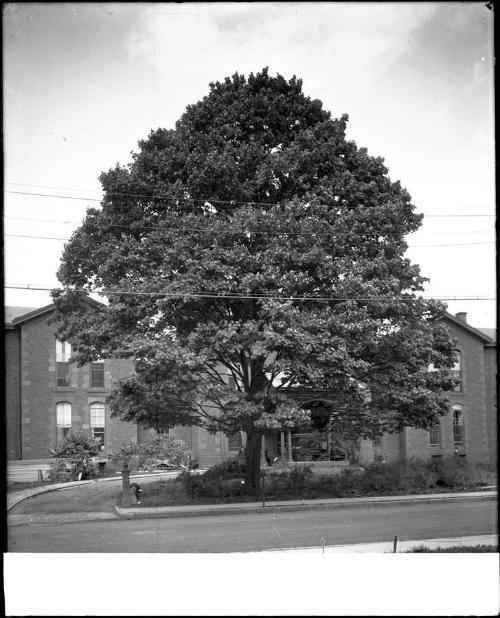 Museum purchase, 1995.36.1323  © 2013 The Connecticut Historical Society.