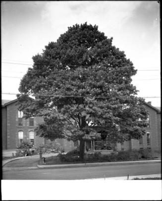 Museum purchase, 1995.36.1323  © 2013 The Connecticut Historical Society.