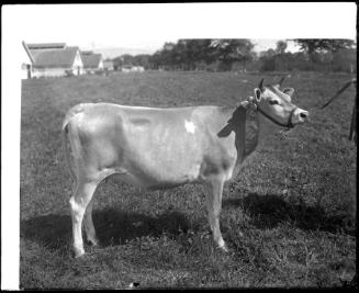 Museum purchase, 1995.36.1333  © 2013 The Connecticut Historical Society.