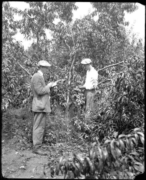 Museum purchase, 1995.36.1432  © 2013 The Connecticut Historical Society.