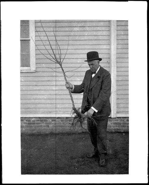 Museum purchase, 1995.36.1436  © 2013 The Connecticut Historical Society.