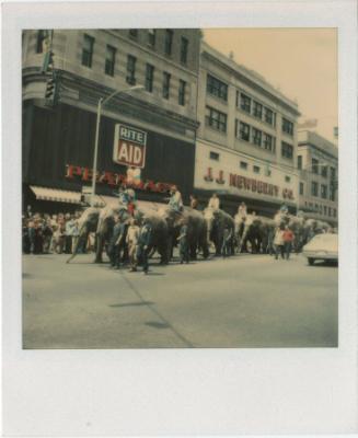 Circus parade with elephants; Hartford-Aetna building in background, Gift of the Richard Wellin…