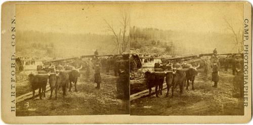 Connecticut Historical Society collection, 2013.30.10  © 2013 The Connecticut Historical Societ…